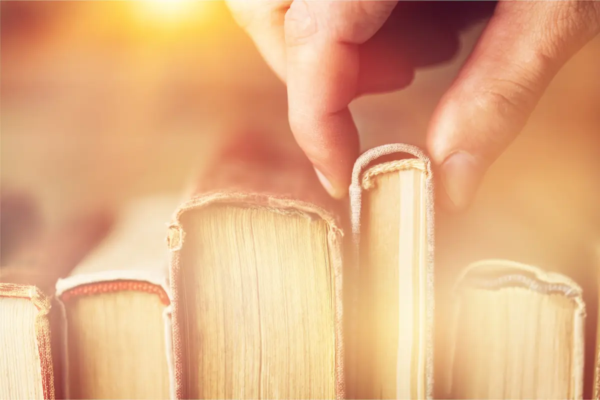 ブログ導入文（リード文）の書き方：例文コピペで即完成【NG例あり】という記事のアイキャッチ画像