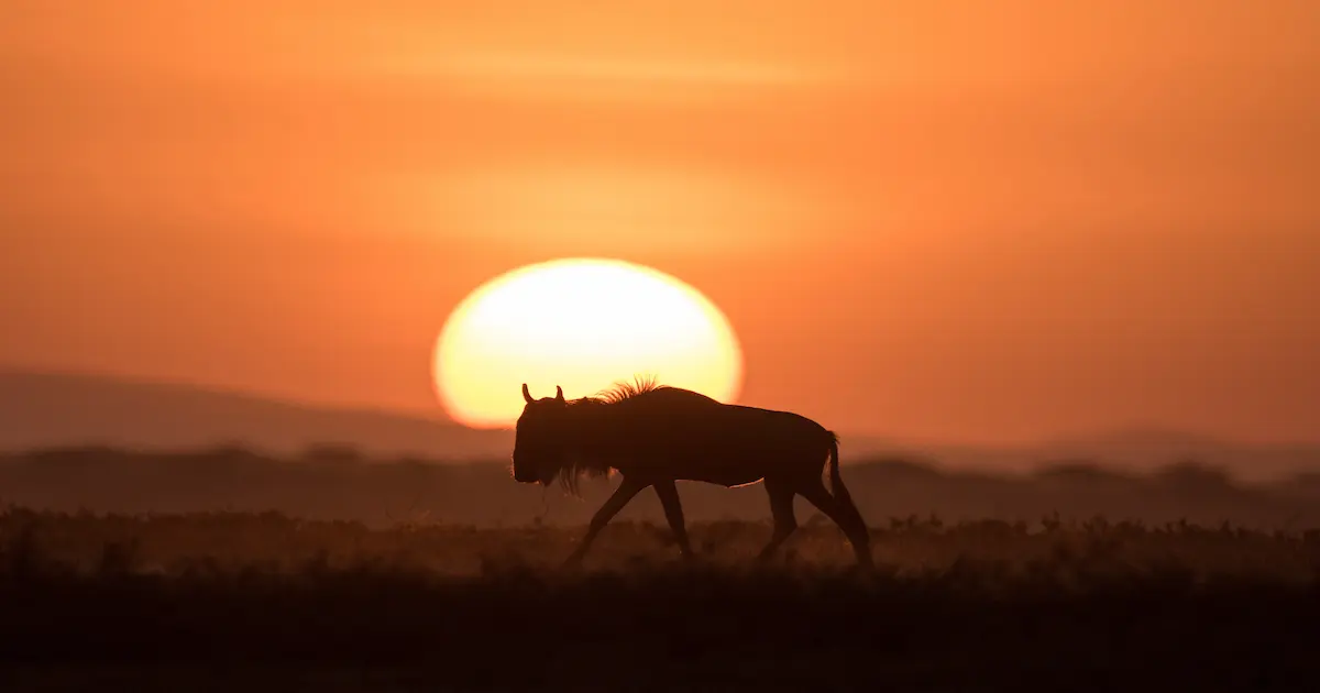 【実体験】継続できないを克服する方法｜細分化×優先順位で続くについて解説した記事のアイキャッチ画像